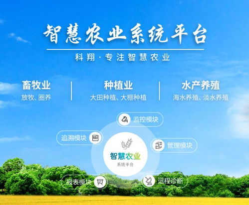 計算機技術賦能農機工業 從智能咨詢到數字化轉型